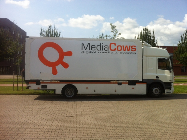 media cows